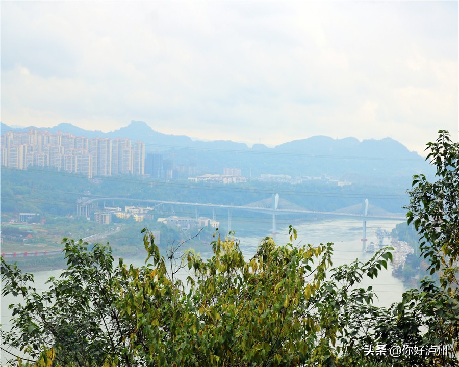 泸州最美农家乐,泸州特色农家乐