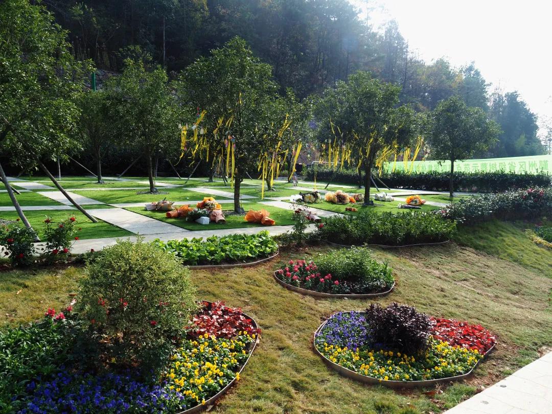 同泰第四届集体树葬圆满举行，21位树葬人士回归自然