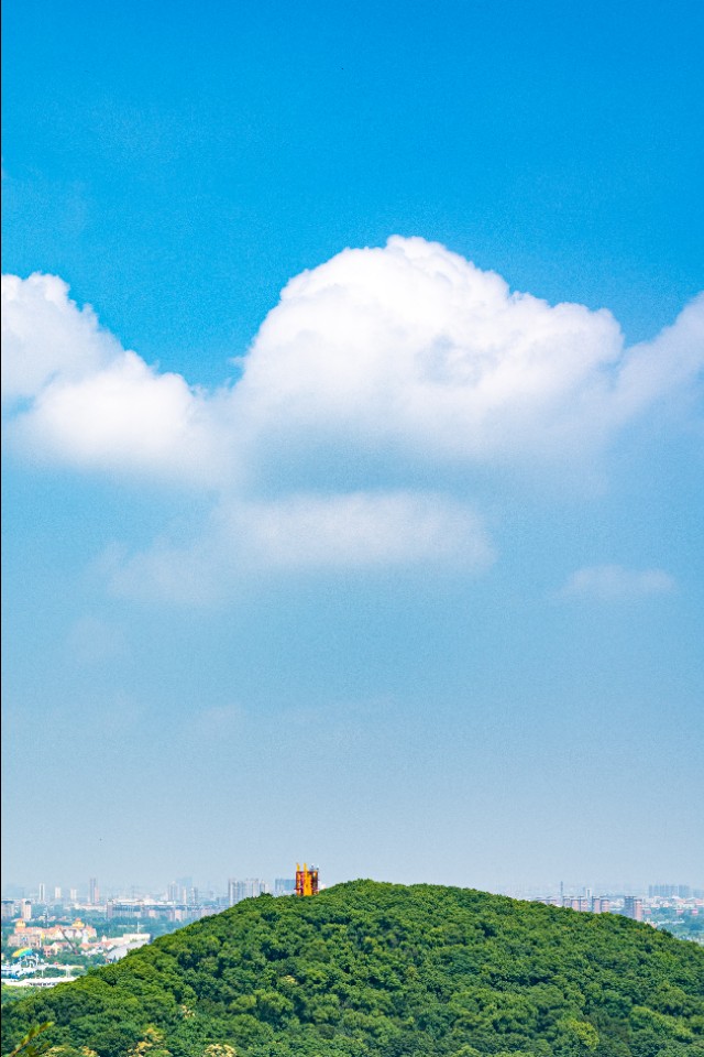 上海旅游攻略必去景点春节,春节上海旅游攻略必去景点大全