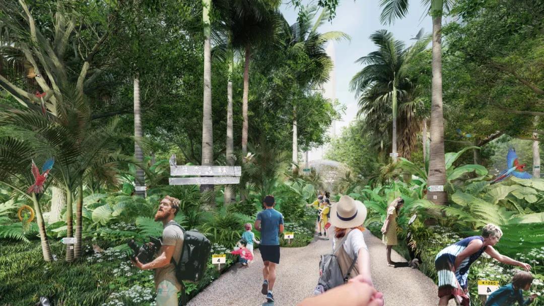 深圳湾超级总部基地绿化,深圳湾超级基地