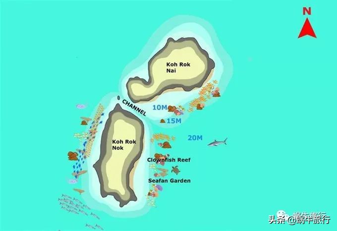 巨蜥像退休大爷休闲漫步；满海的活珊瑚、海葵…国家公园开岛啦