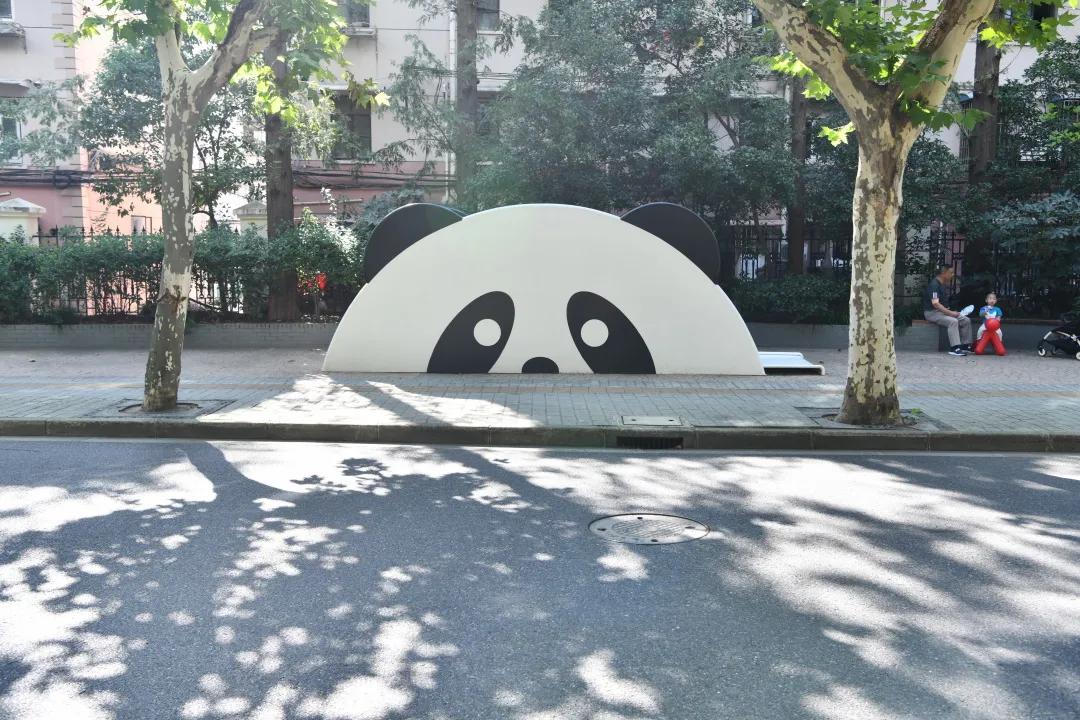 杨浦四平展区开幕，看点都在这一篇