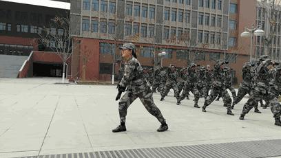 武警军体拳分解动作,军体拳动作口号