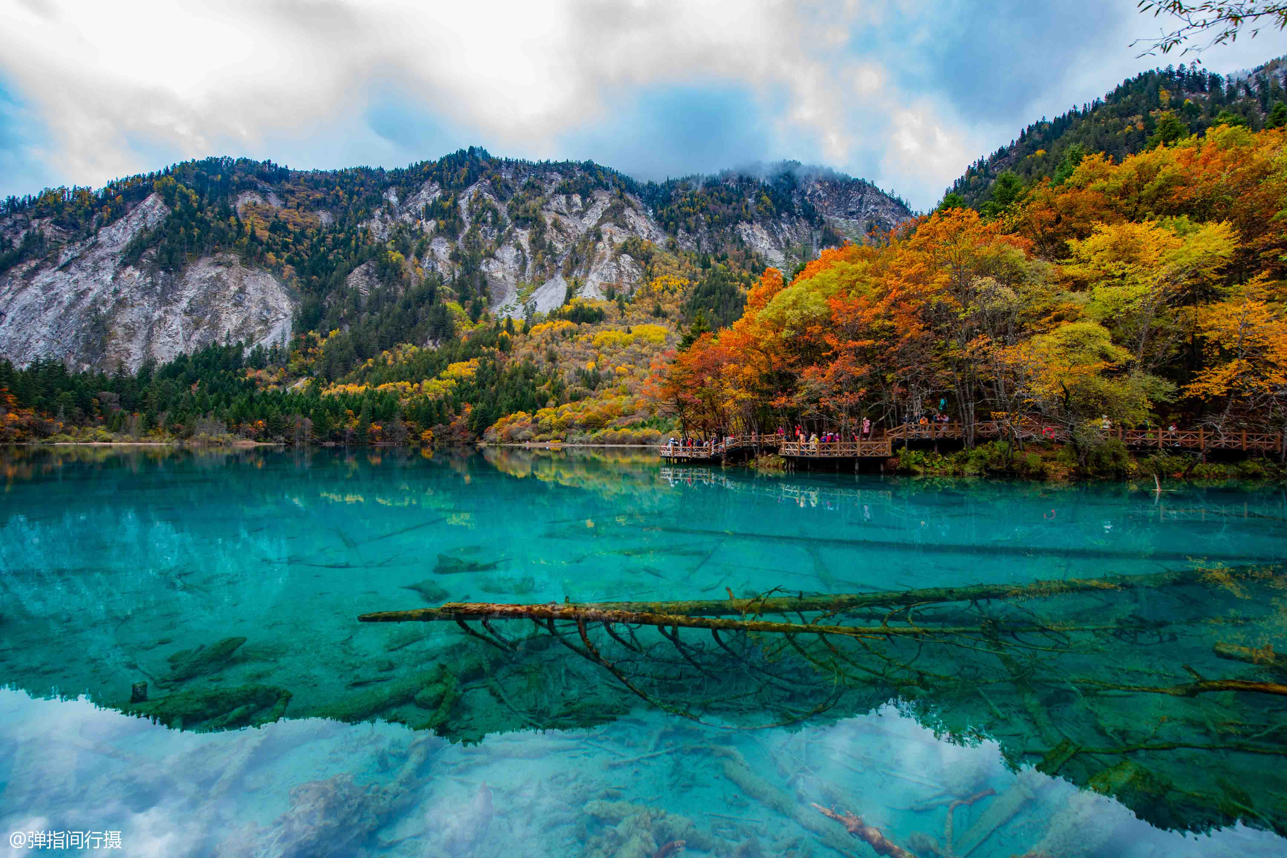 九寨沟最“仙”的景点:秋色宛如彩色梦境,堪称“九寨沟一绝”