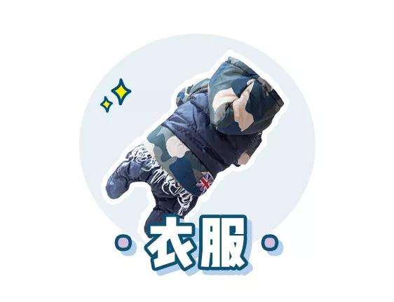 萌新应该养什么便宜宠物狗,萌新怎么入门宠物技能