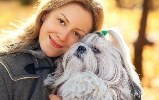 狗狗不听话怎么办试试这7个方法,狗狗不听话怎么让它听话