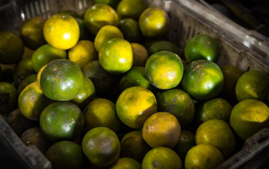 水果店为什么生意差,为什么水果店越多生意越好