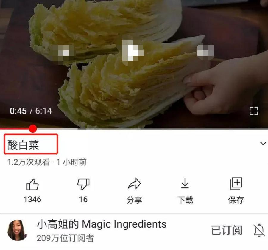 李子柒被韩国网友*攻围**，中国博主联手回击，发布酸菜视频标题显眼