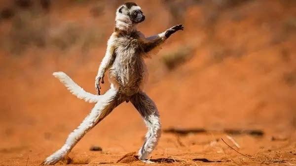 开学季怎样赚钱,开学季学费诈骗