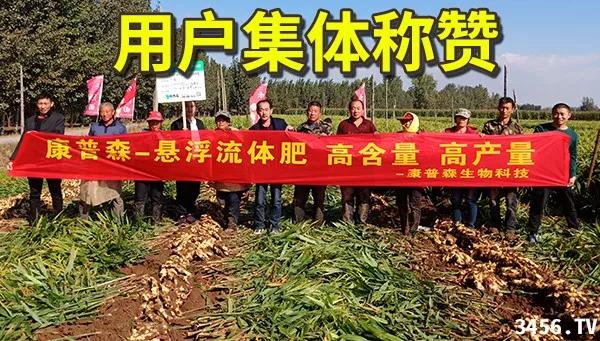 大姜的高产种植技术指导视频,大姜高产标准化种植技术