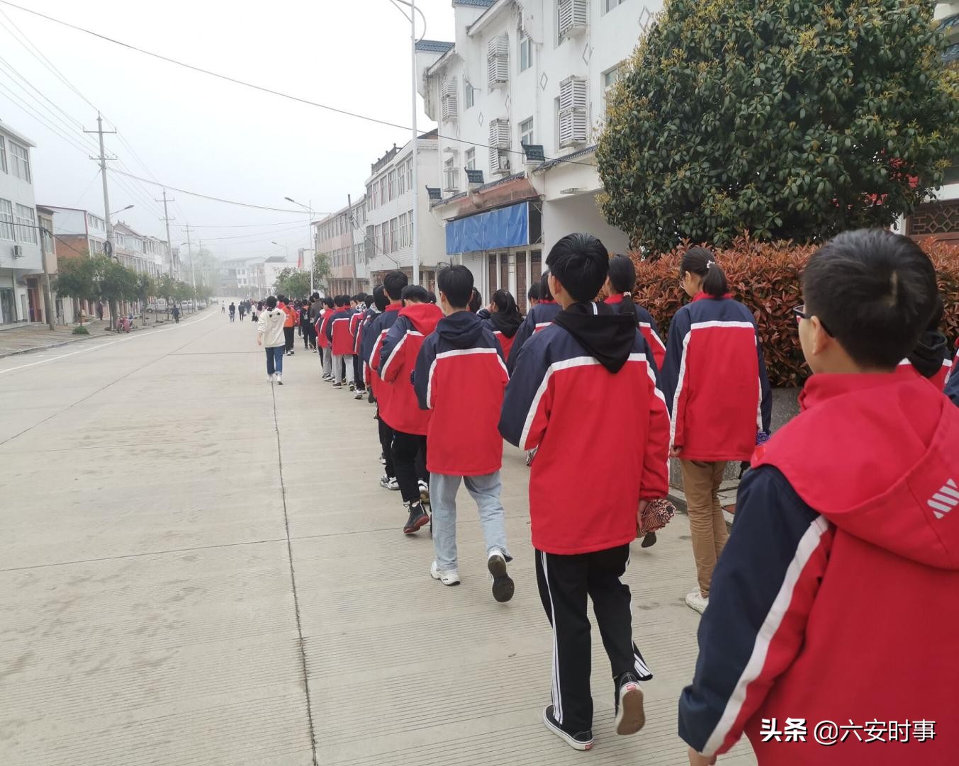 学校清明节祭扫先烈主题活动方案,学校开展清明节缅怀先烈扫墓活动