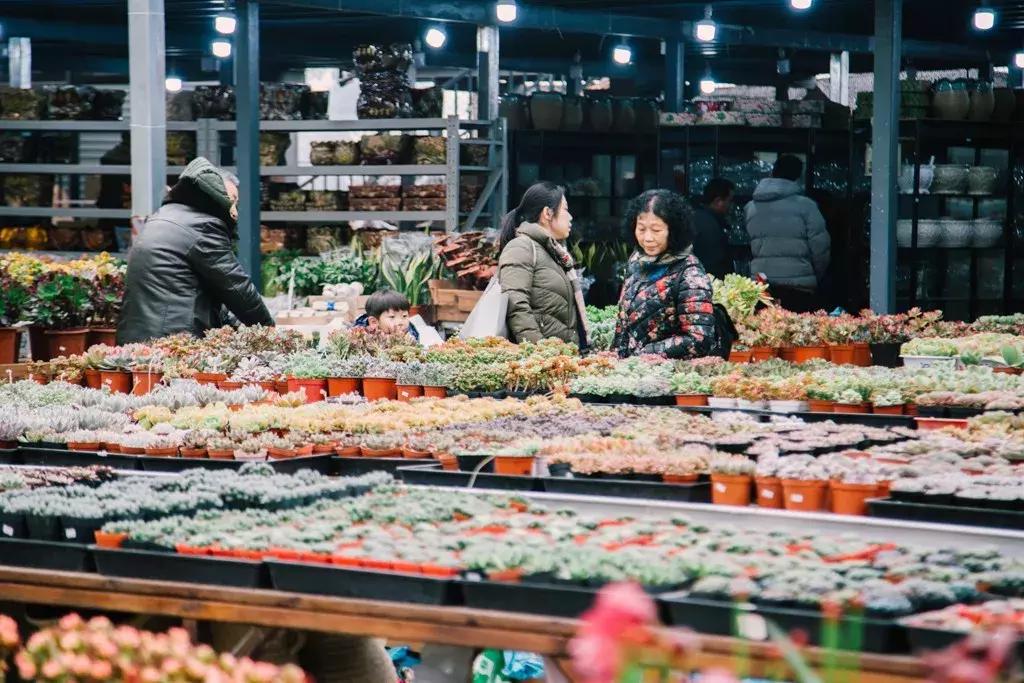 重庆的大型批发市场,最新最全重庆批发市场一览表