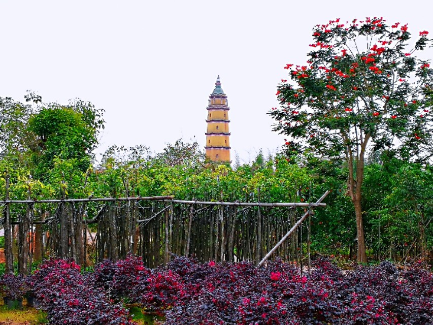 普宁洪阳乌黎塔图片,普宁洪阳镇乌黎村