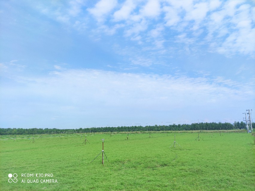 寿北大草原,我们来啦!---探访飞燕草坪寿光双王城基地