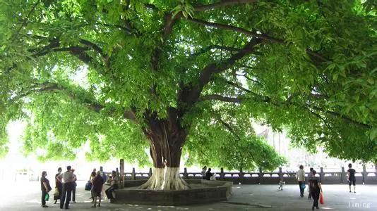 大厂北坞村历史,大厂北坞村的由来