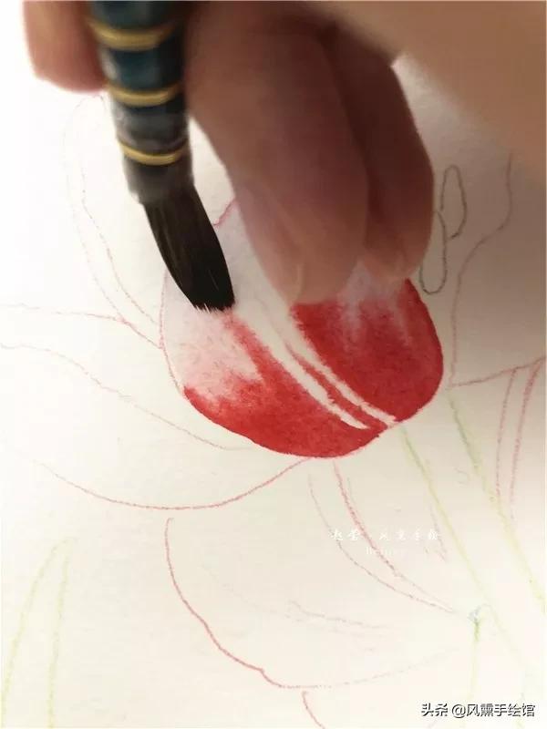 怎么用水彩笔画郁金香教程,粉色水彩郁金香怎么画图片