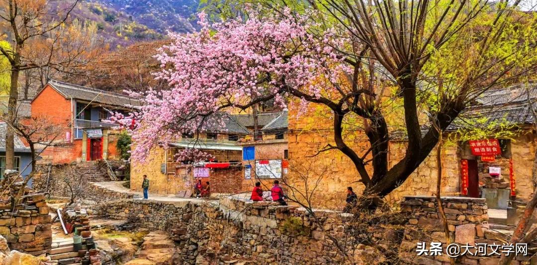 山恋小说,山恋歌曲出自哪里