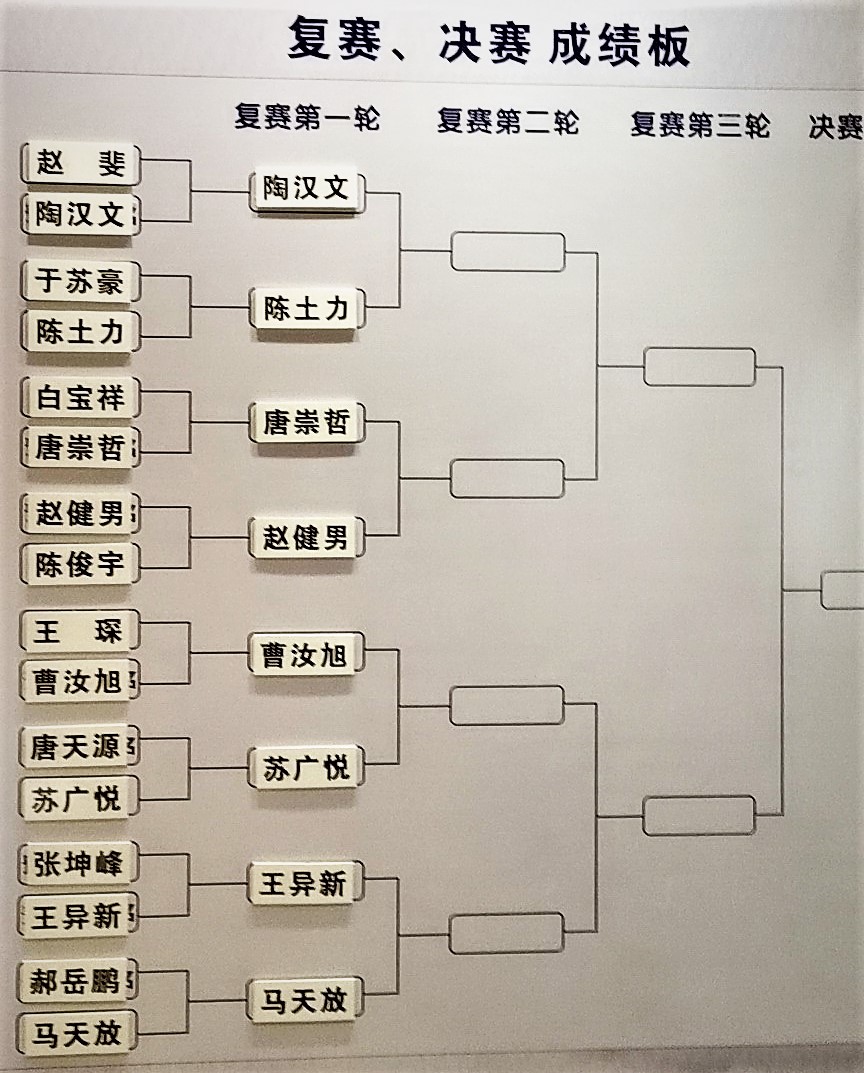 南珠宫-南珠杯十六强战王琛白宝祥出局