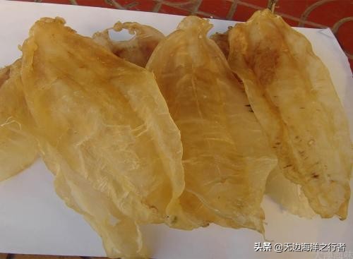 鳘鱼胶怎么做最好吃,鳘鱼胶的最佳做法大全
