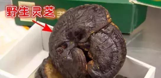 携带违禁品被拦有什么影响,携带禁止携带物品上车怎么处理