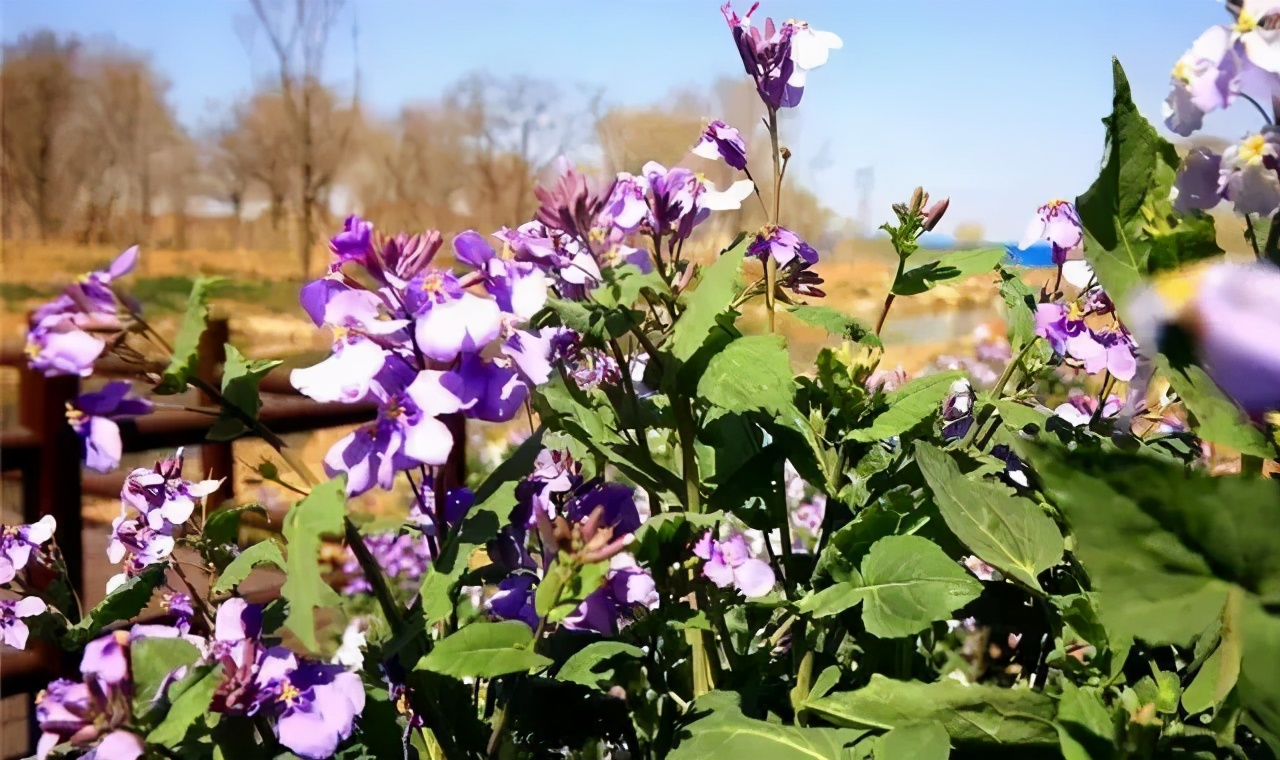 《复兴你好》第二十一期