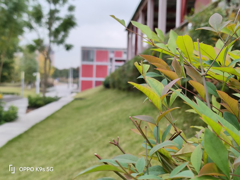 OPPOK9s值得买吗测评,oppok9s值得入手吗