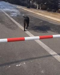 与聊了三个月的网友奔现,聊了一个星期的网友要奔现了