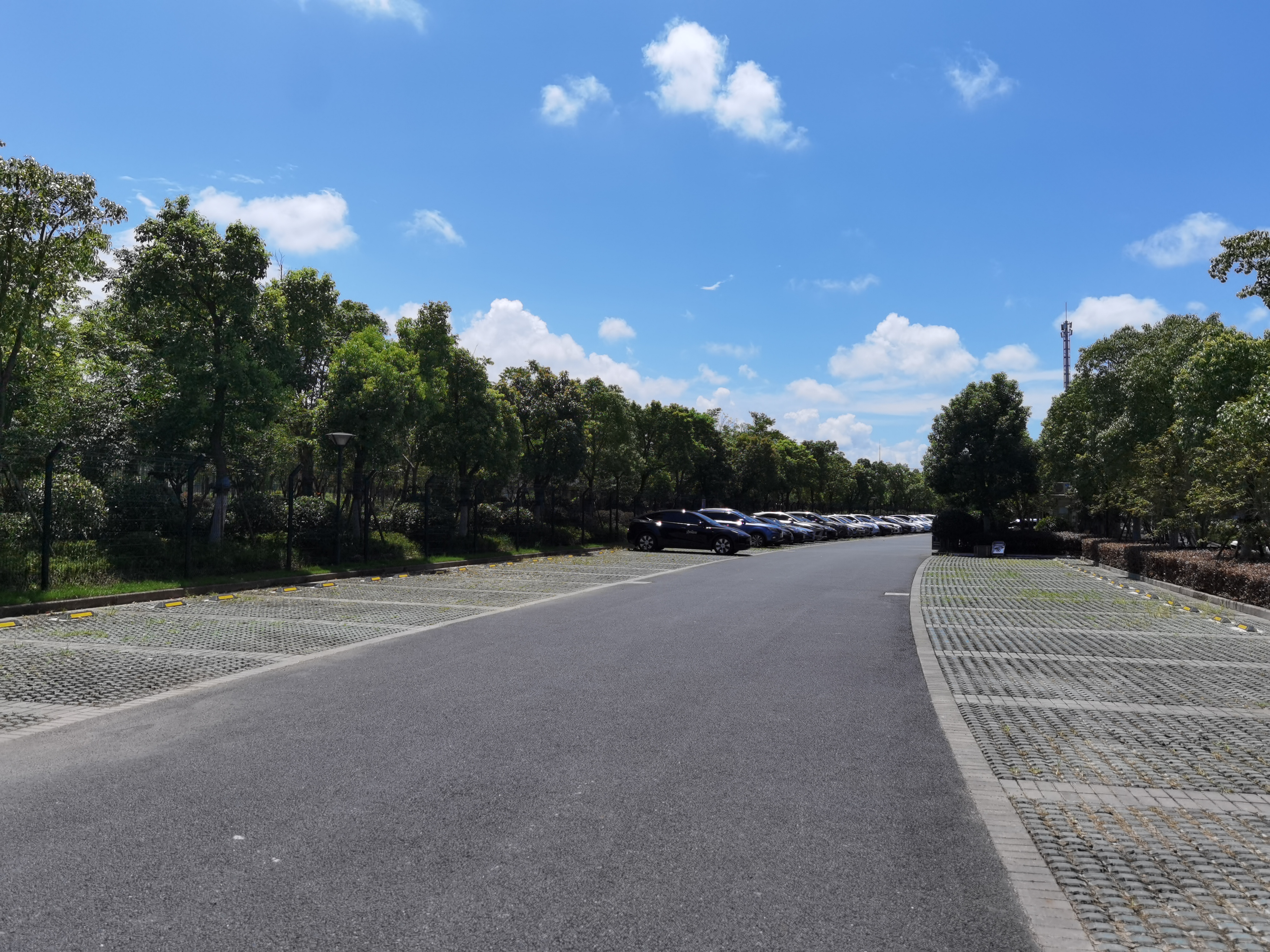 外高桥森兰公园,外高桥森兰绿洲公园