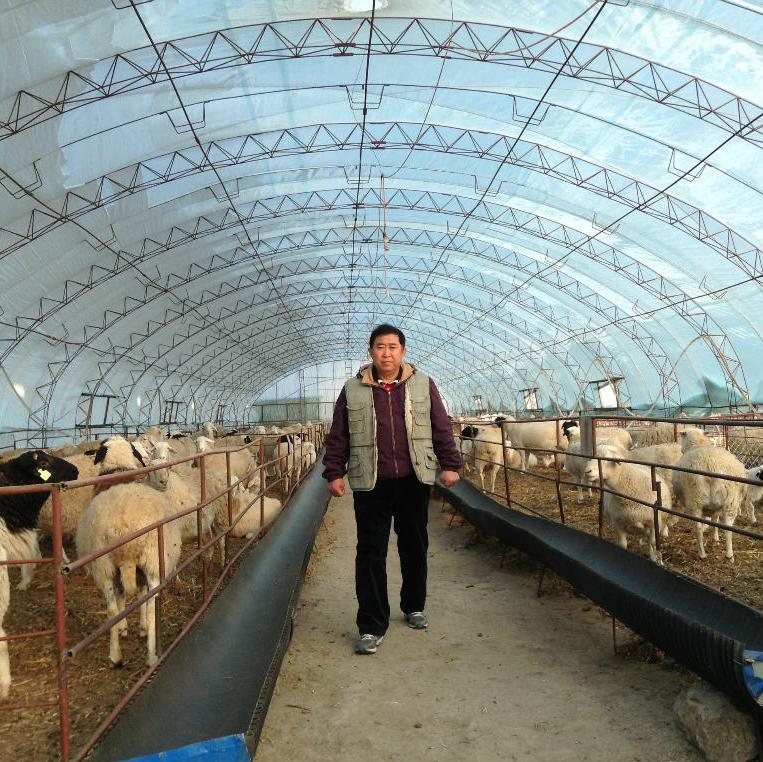 最新养羊舍3米高羊舍怎么建,养羊技术羊舍建造图片