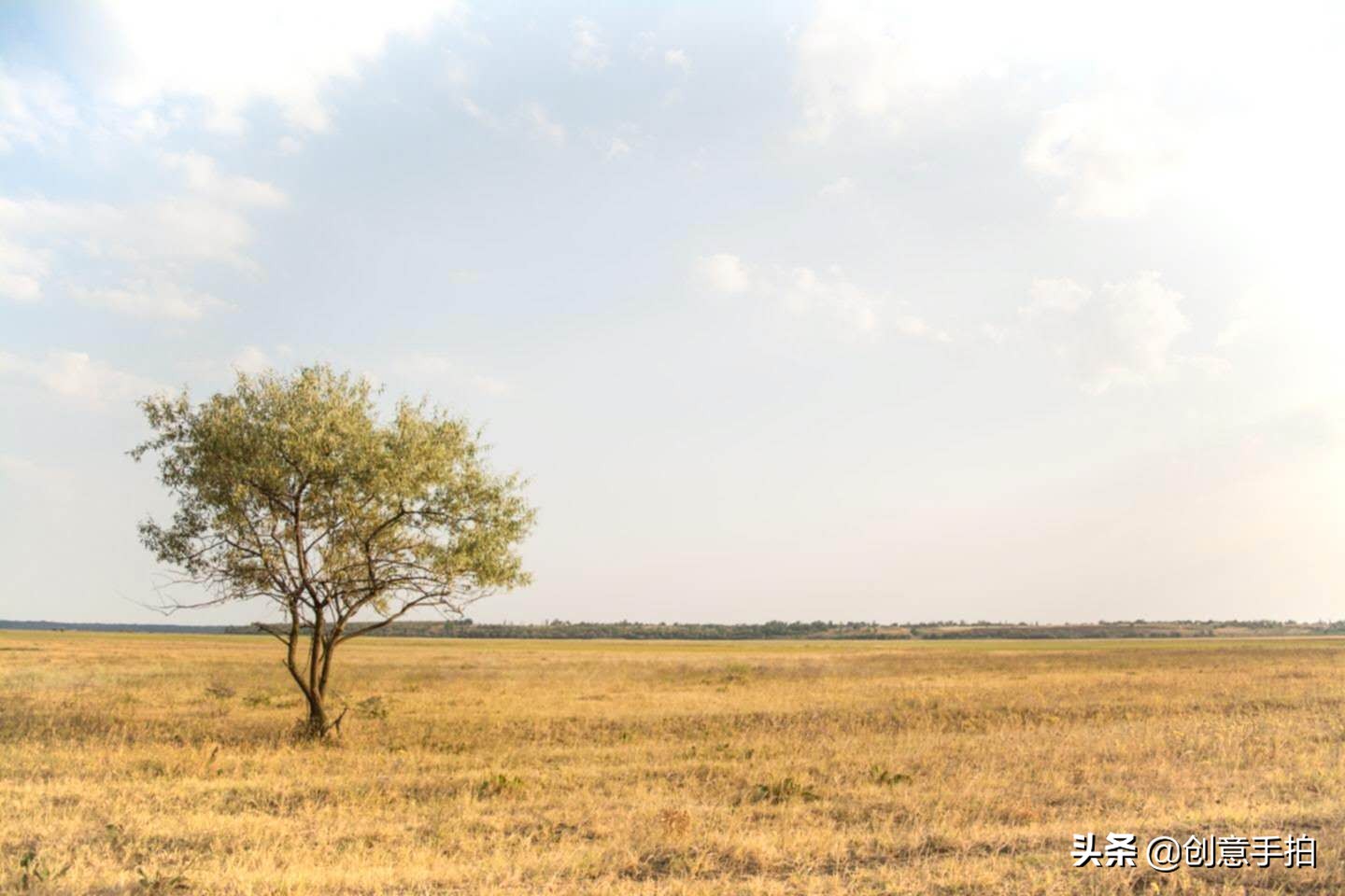 手机修图技巧和方法,修图技巧手机