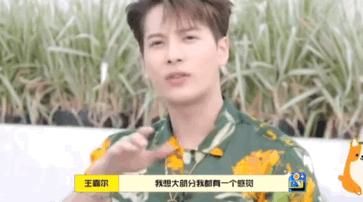 王嘉尔小众,王嘉尔小众配饰