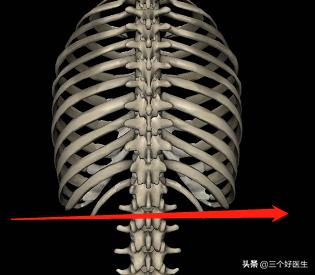 颈椎脊椎的精确定位及触诊技巧,脊椎三步定位图解