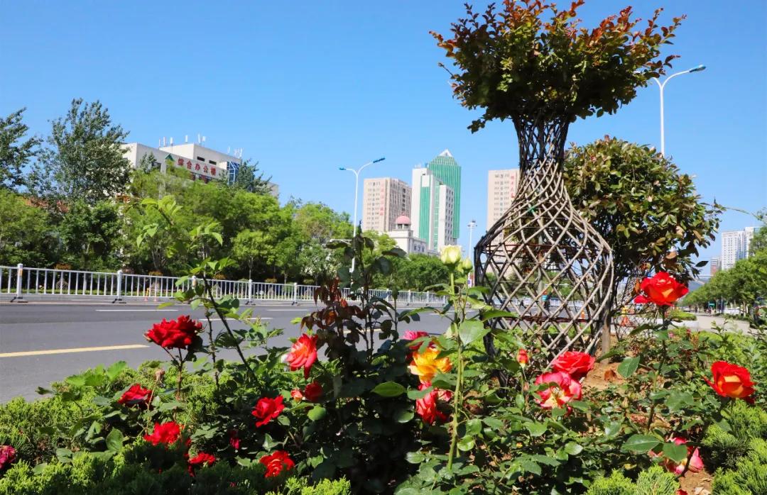 威海市精致城市建设报告,威海市高新区重点建设项目