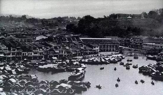 10种罐头推荐,十大经典罐头