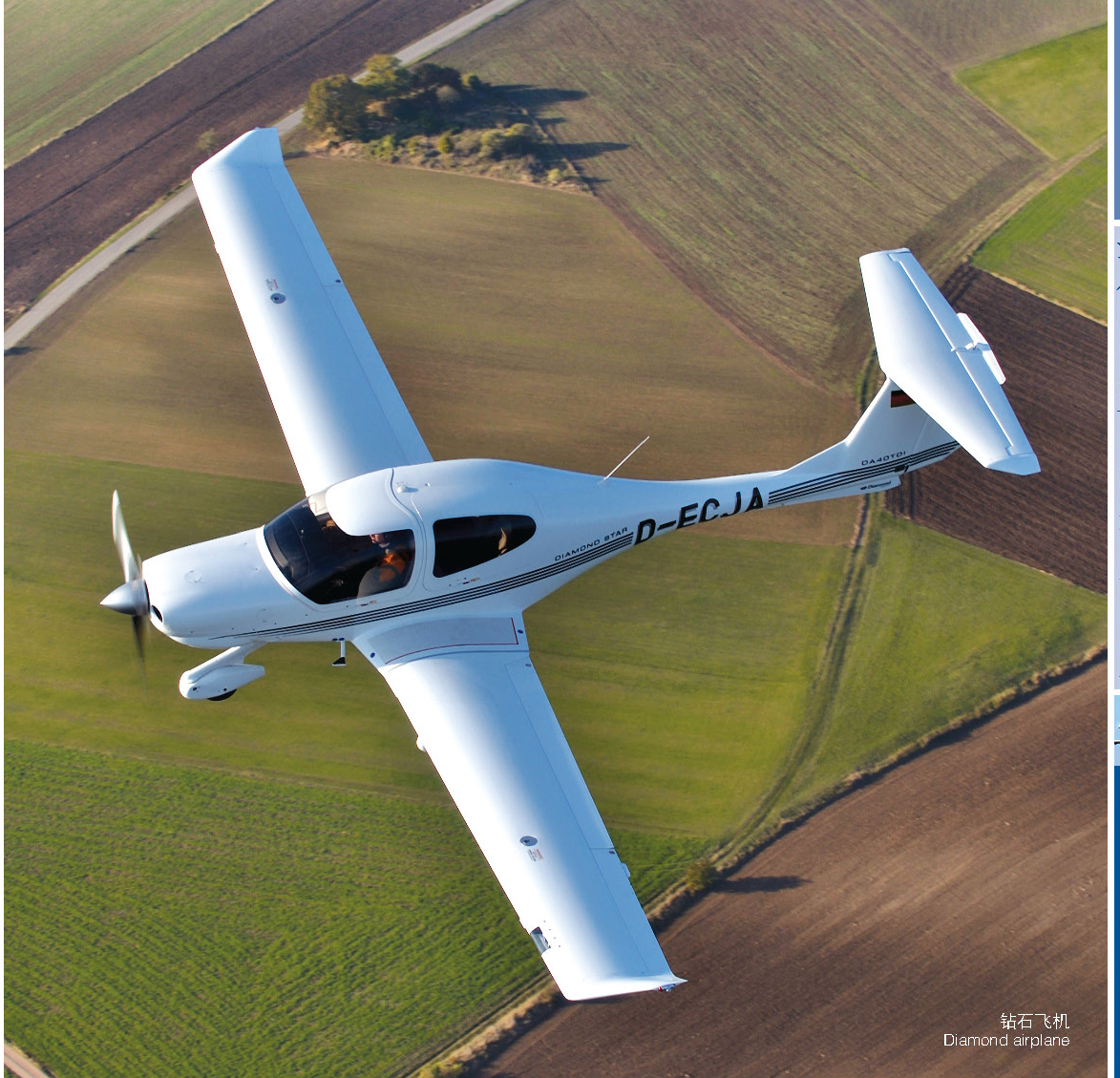 中国沾化冬枣,冬枣中国