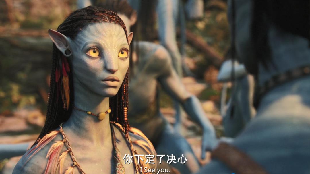 阿凡达最新彩蛋,阿凡达你不知道的隐藏细节