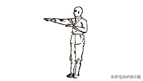 鹤形拳基础教学,少林五行拳鹤拳