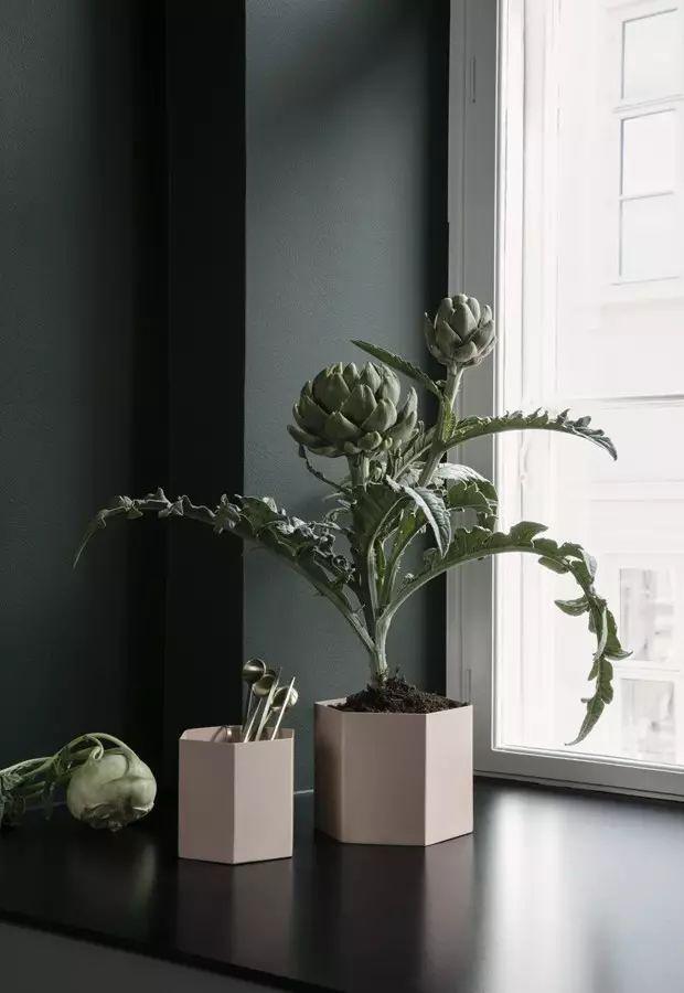 RhythnmofLife丨掌握挪威Jotun的色彩搭配，还怕空间不够有魅力