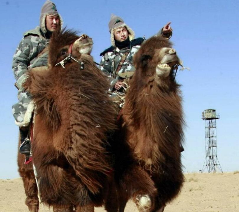 机枪淘汰骑兵,机枪淘汰了吗