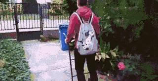 爆笑gif为了我的八块腹肌拼了,成年人幽默搞笑gif图片带字