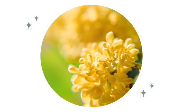 脾胃虚寒下腹冷痛是什么原因,脾胃虚寒为什么会小腹冷痛