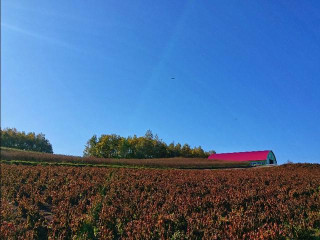 日本从南到北旅游路线,从南游到北
