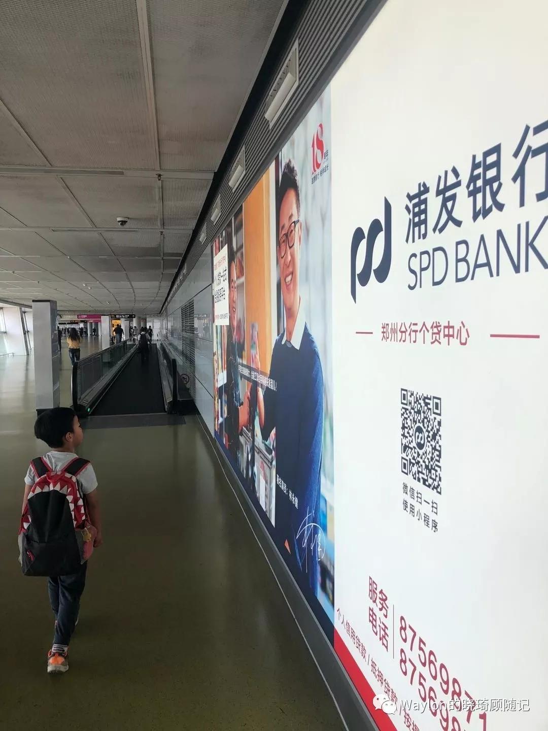 2019新西兰,2019年新西兰