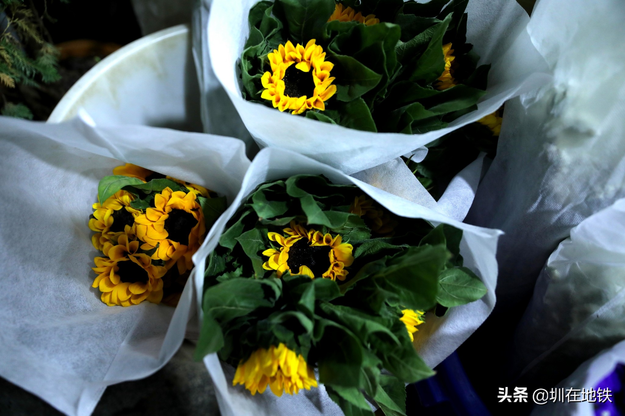 乘坐地铁到滘口花卉市场,从地铁到花卉市场
