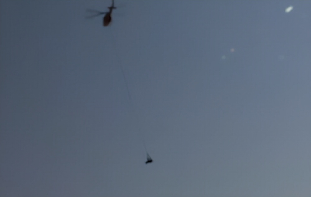 潜艇里杀蟑螂、人类猫语十级,今年的搞笑诺贝尔奖来了