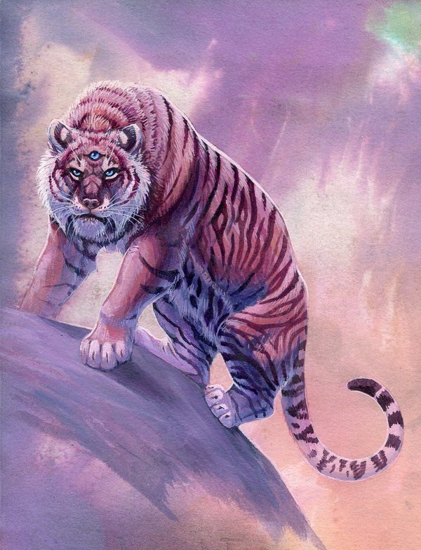 我国现存的老虎种类一览表,中国最古老的老虎是什么品种