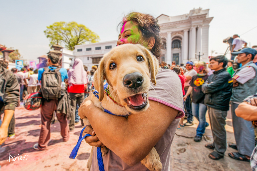 史上最疯狂的色彩盛宴洒红节即将到来！