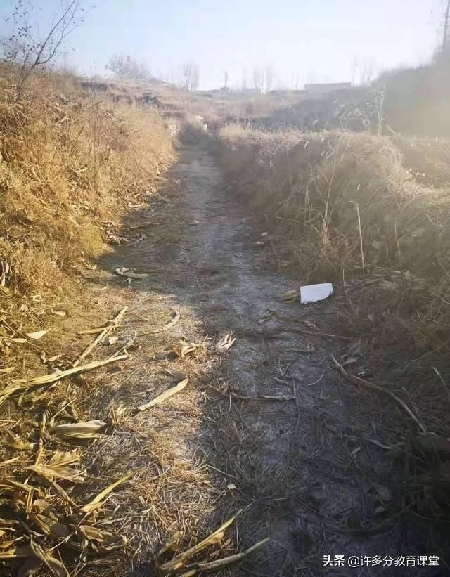 河北保定女童被2恶犬咬死，教你遇到恶犬咬人如何自救和救人