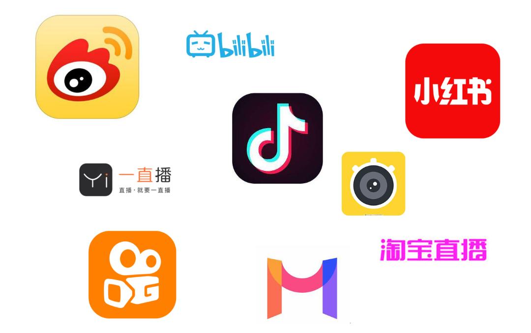 输出网生内容的平台那么多,品牌怎么求助力?|带货情报局⑩