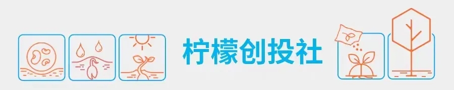 完美日记、元气森林、名创优品、泡泡玛特新品牌如何飞速成长